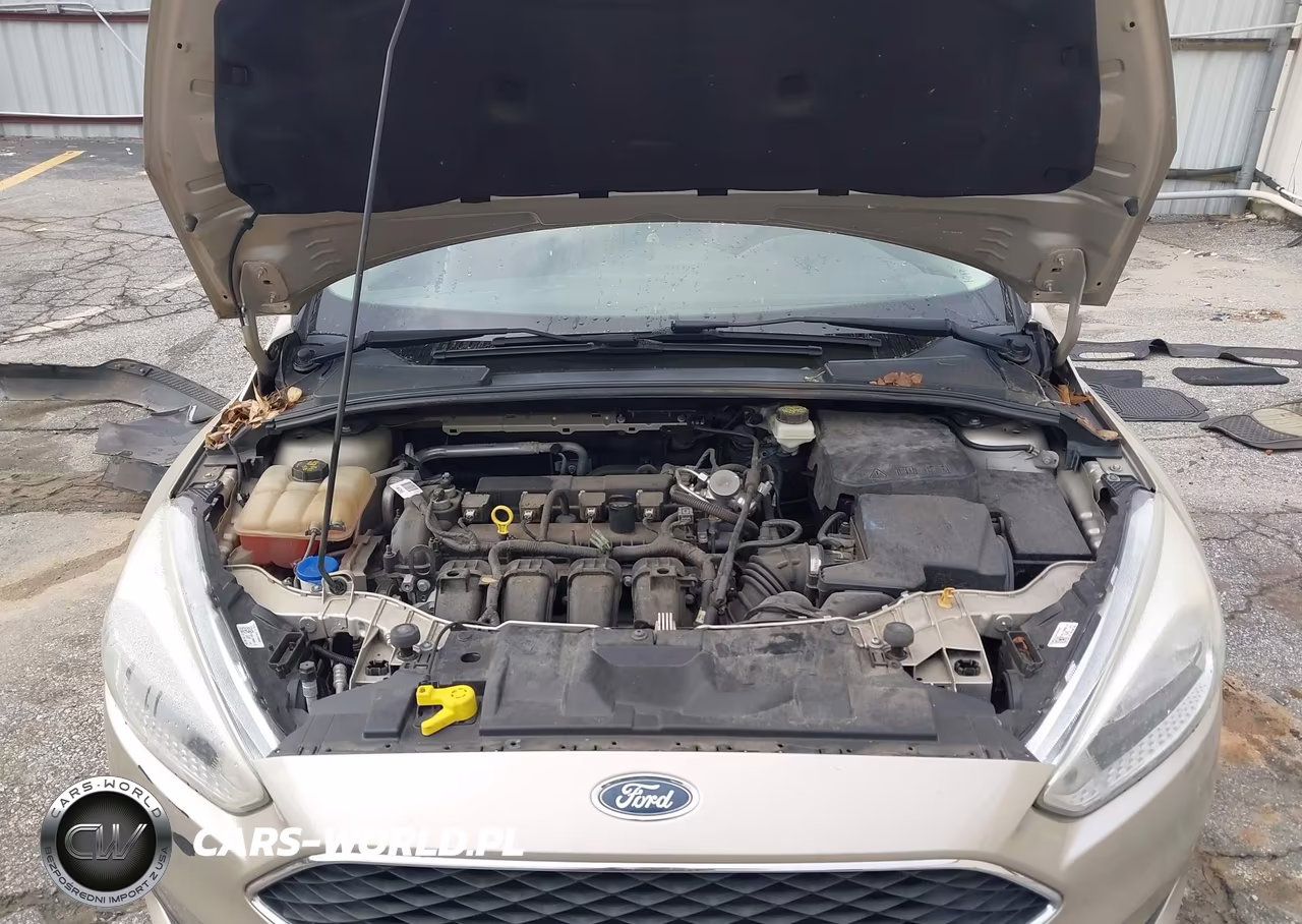 2017 Ford Focus Se VIN:1FADP3F28HL221028 - 10