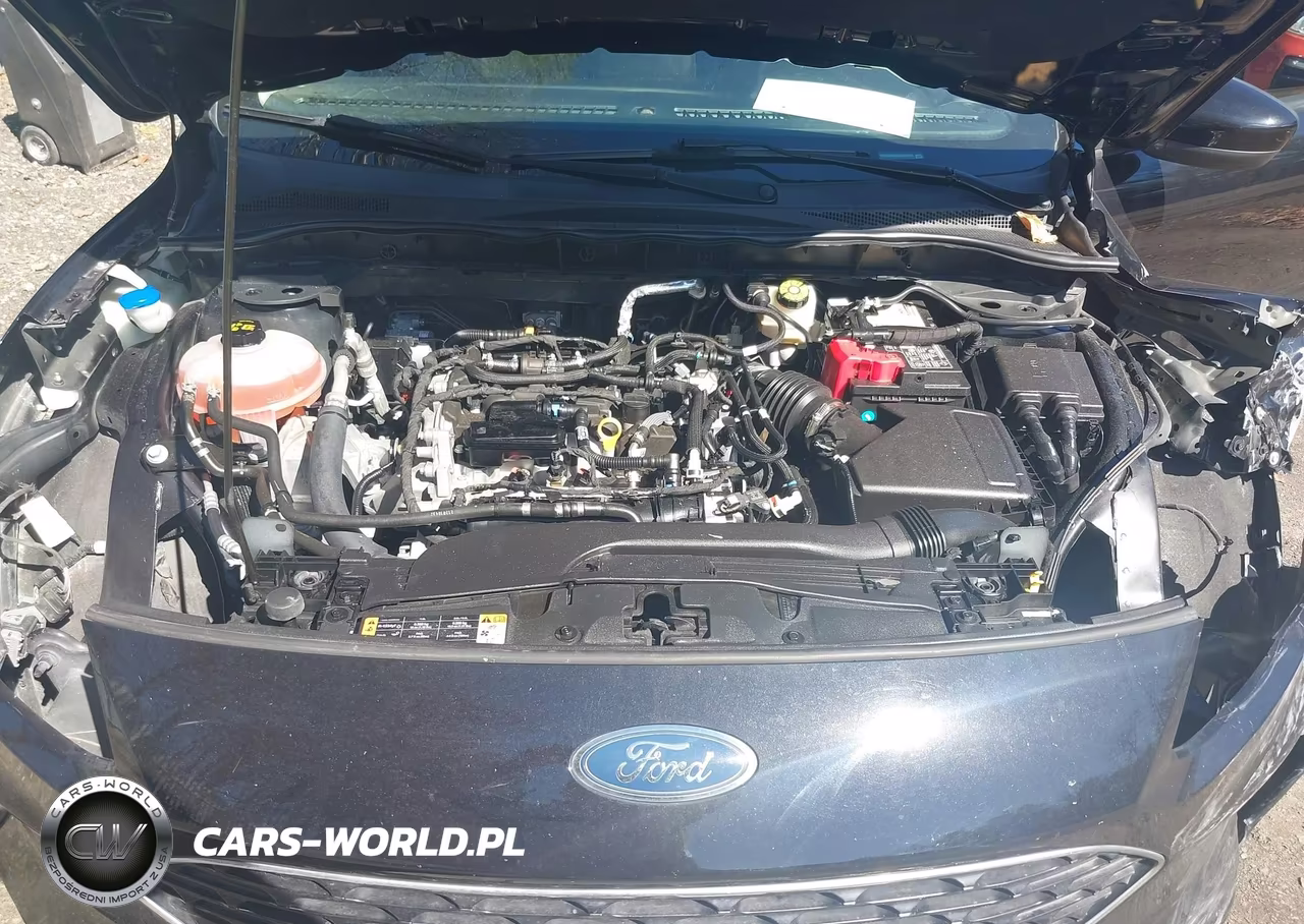2020 Ford Escape Se VIN:1FMCU0G65LUC37412 - 10