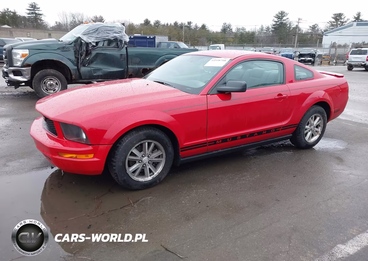 2007 Ford Mustang V6 Deluxe-V6 Premium VIN:1ZVFT80N775330434 - 2