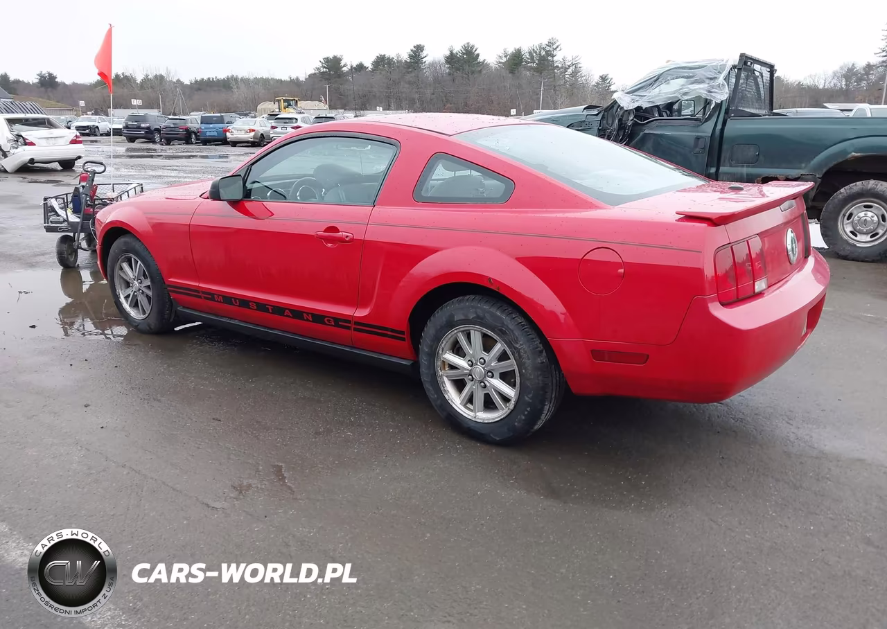 2007 Ford Mustang V6 Deluxe-V6 Premium VIN:1ZVFT80N775330434 - 3