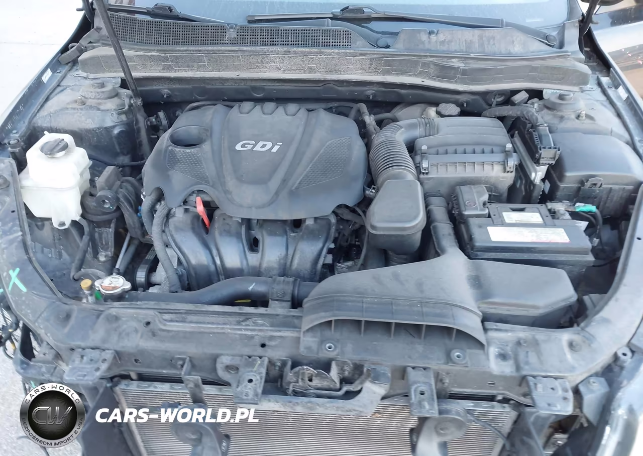 2014 Kia Optima Ex VIN:5XXGN4A74EG294446 - 10