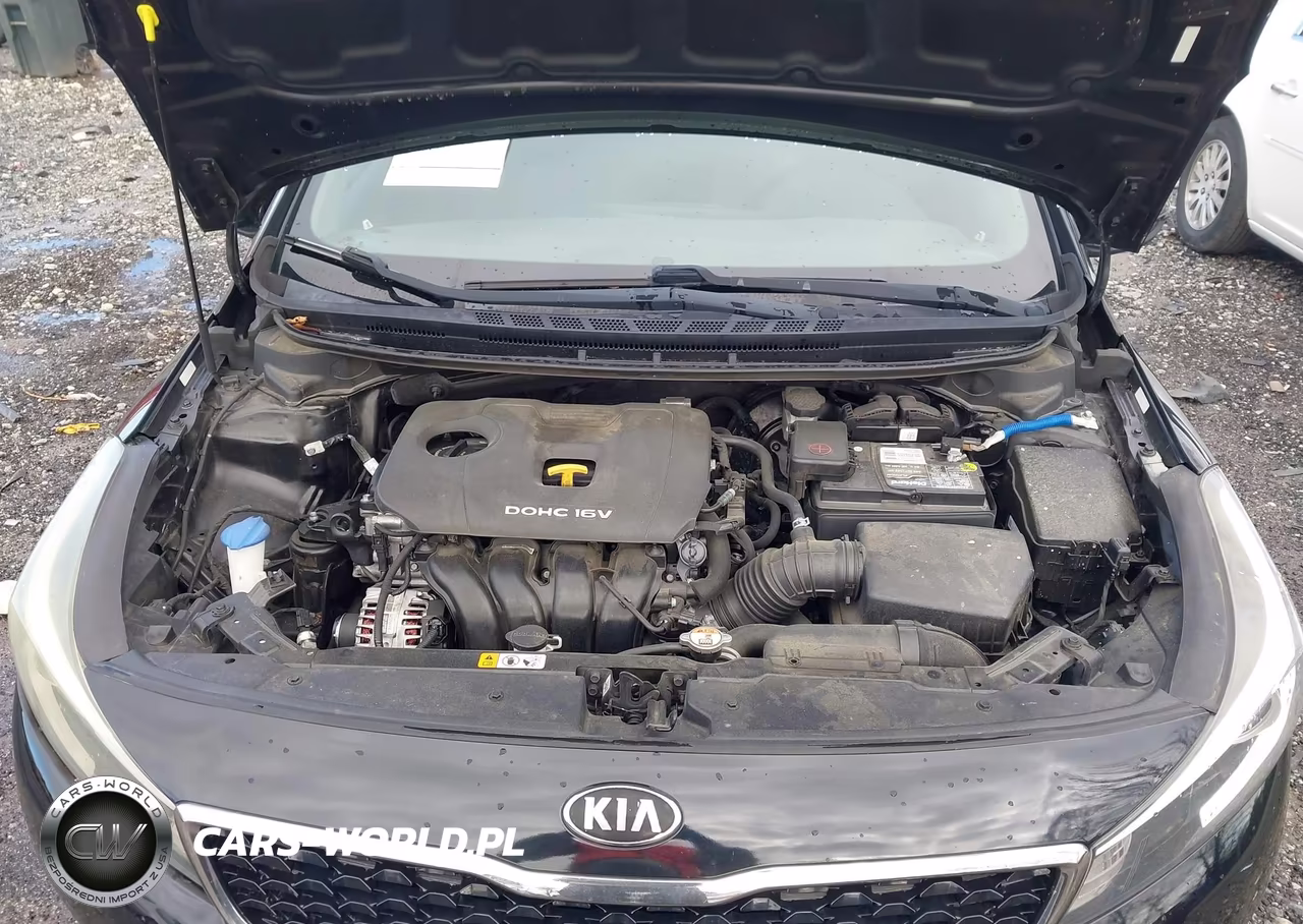 2018 Kia Forte Lx VIN:3KPFK4A7XJE238504 - 10