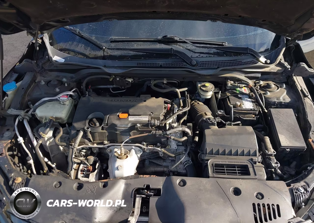 2019 Honda Civic Sport VIN:2HGFC2F80KH504817 - 10