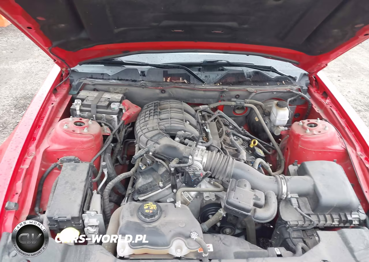 2013 Ford Mustang V6 VIN:1ZVBP8AM9D5259404 - 10
