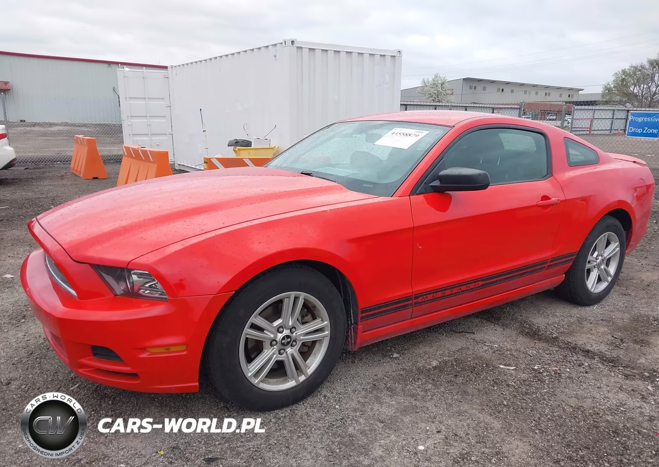 2013 Ford Mustang V6 VIN:1ZVBP8AM9D5259404 - 19