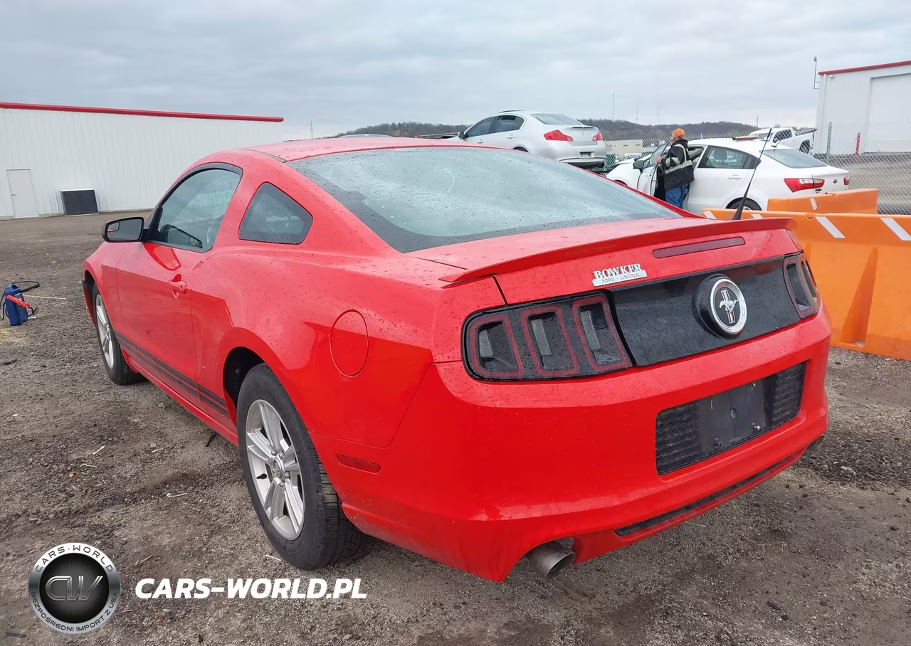 2013 Ford Mustang V6 VIN:1ZVBP8AM9D5259404 - 3