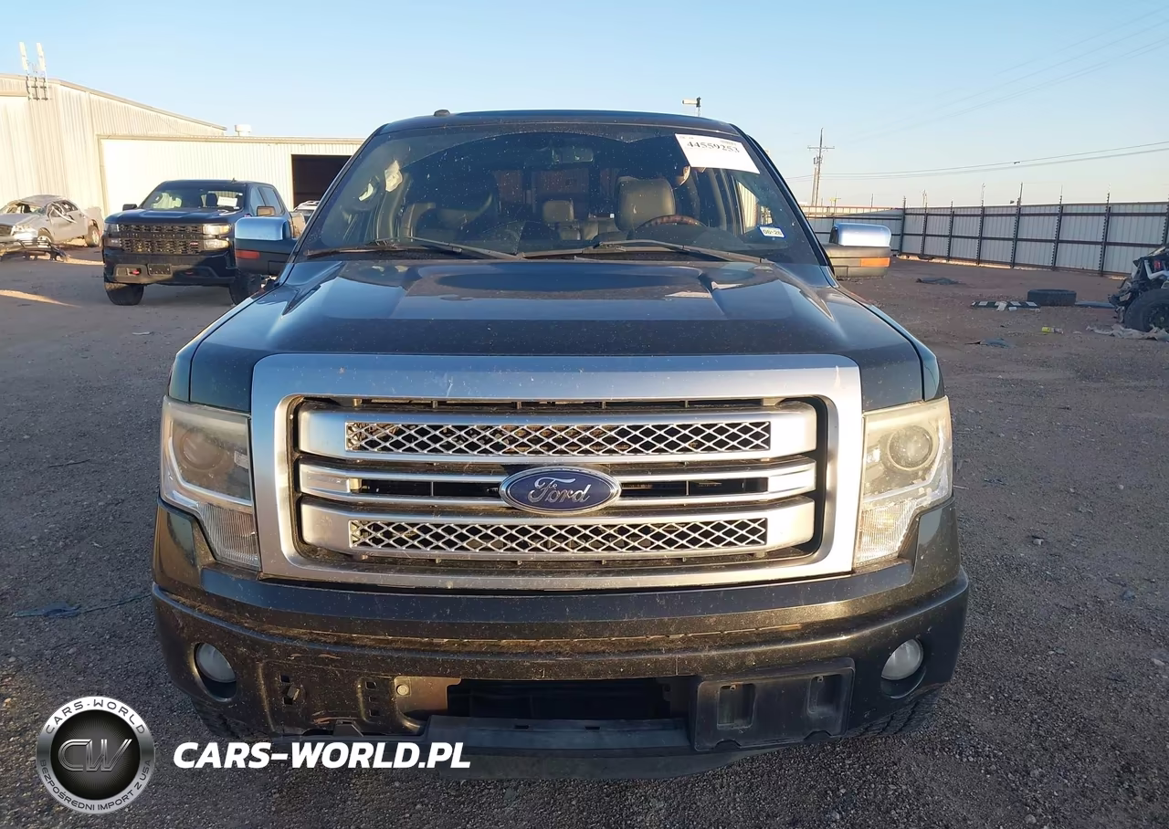2013 Ford F-150 Platinum VIN:1FTFW1CT2DFC04449 - 12