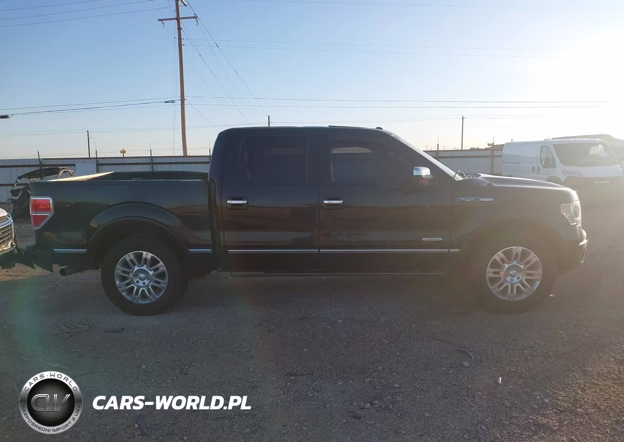 2013 Ford F-150 Platinum VIN:1FTFW1CT2DFC04449 - 13