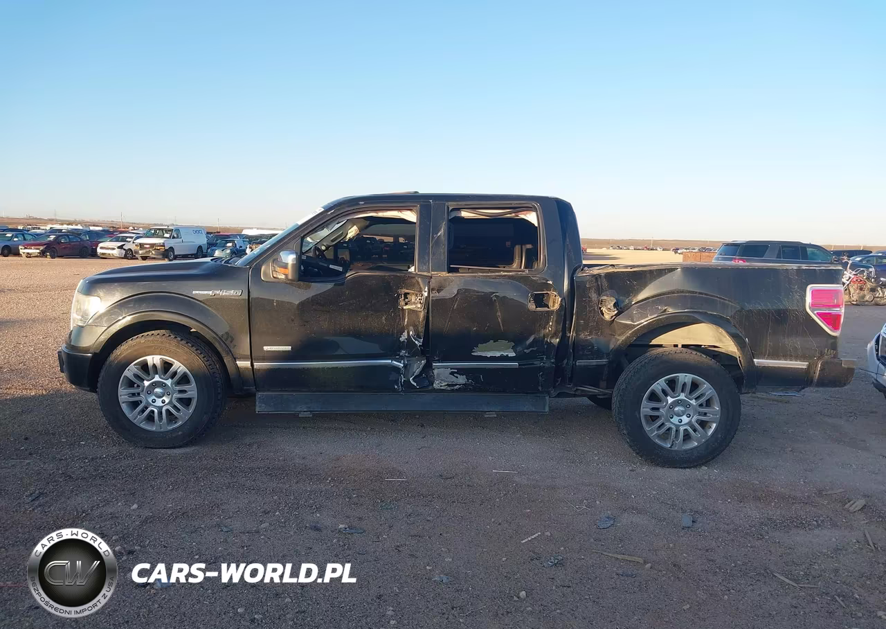 2013 Ford F-150 Platinum VIN:1FTFW1CT2DFC04449 - 14