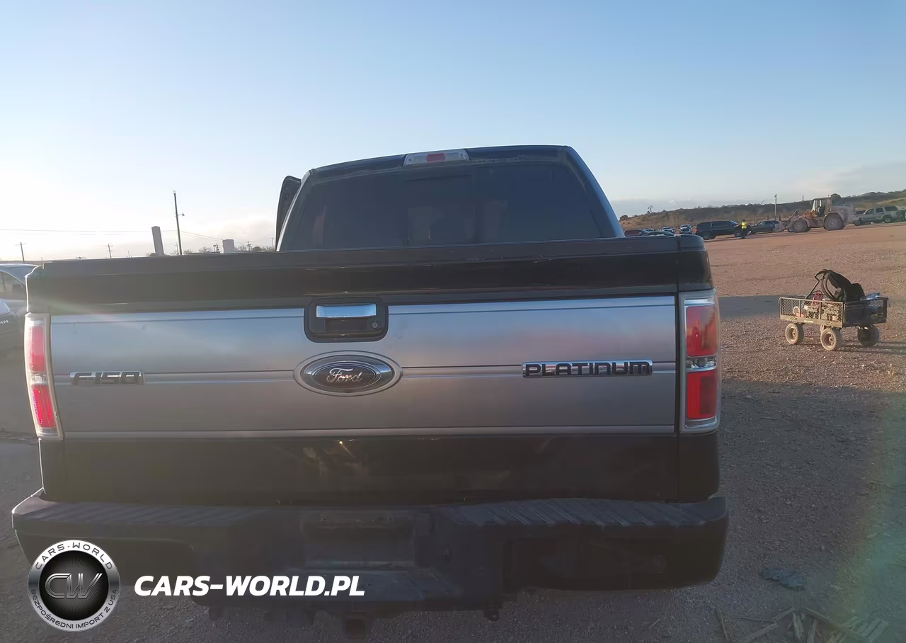 2013 Ford F-150 Platinum VIN:1FTFW1CT2DFC04449 - 16