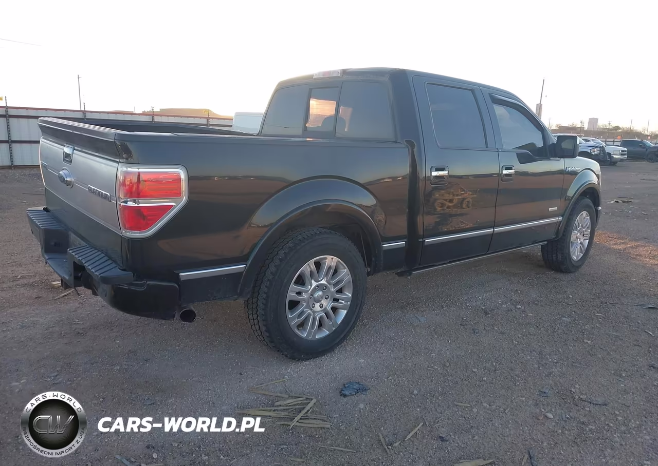 2013 Ford F-150 Platinum VIN:1FTFW1CT2DFC04449 - 4