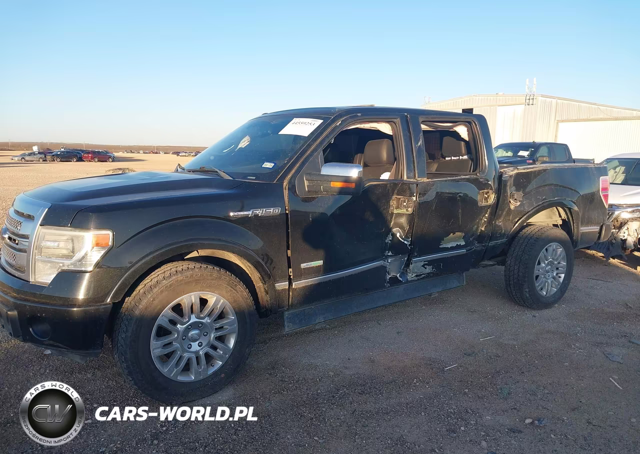 2013 Ford F-150 Platinum VIN:1FTFW1CT2DFC04449 - 6