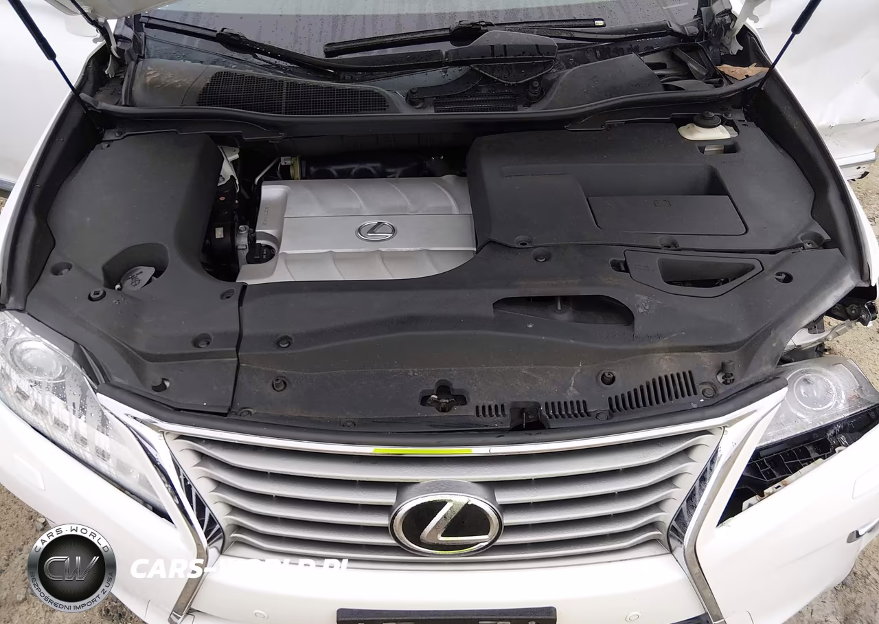 2013 Lexus Rx 350 VIN:2T2ZK1BA7DC102884 - 10