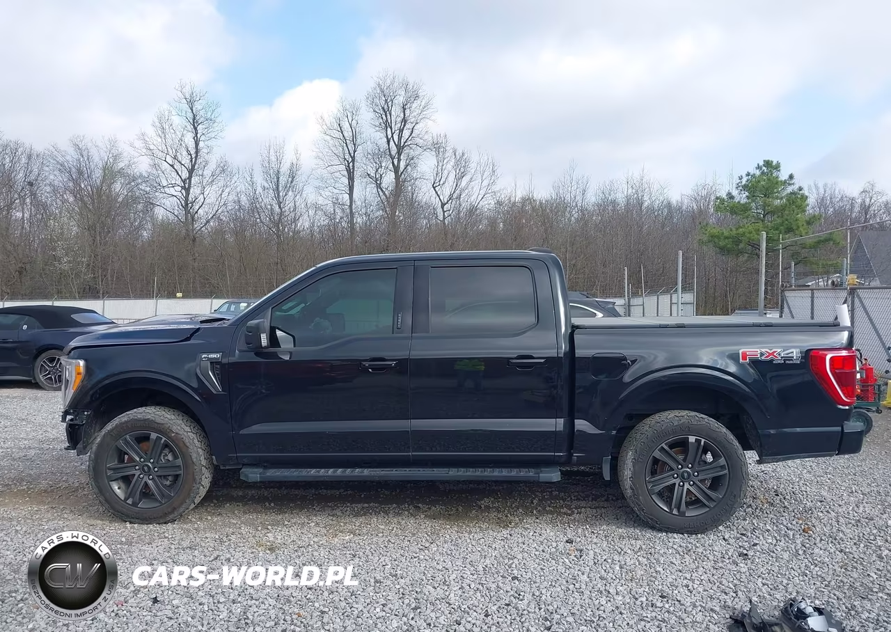 2021 Ford F-150 Xlt VIN:1FTEW1EP0MFA19005 - 15