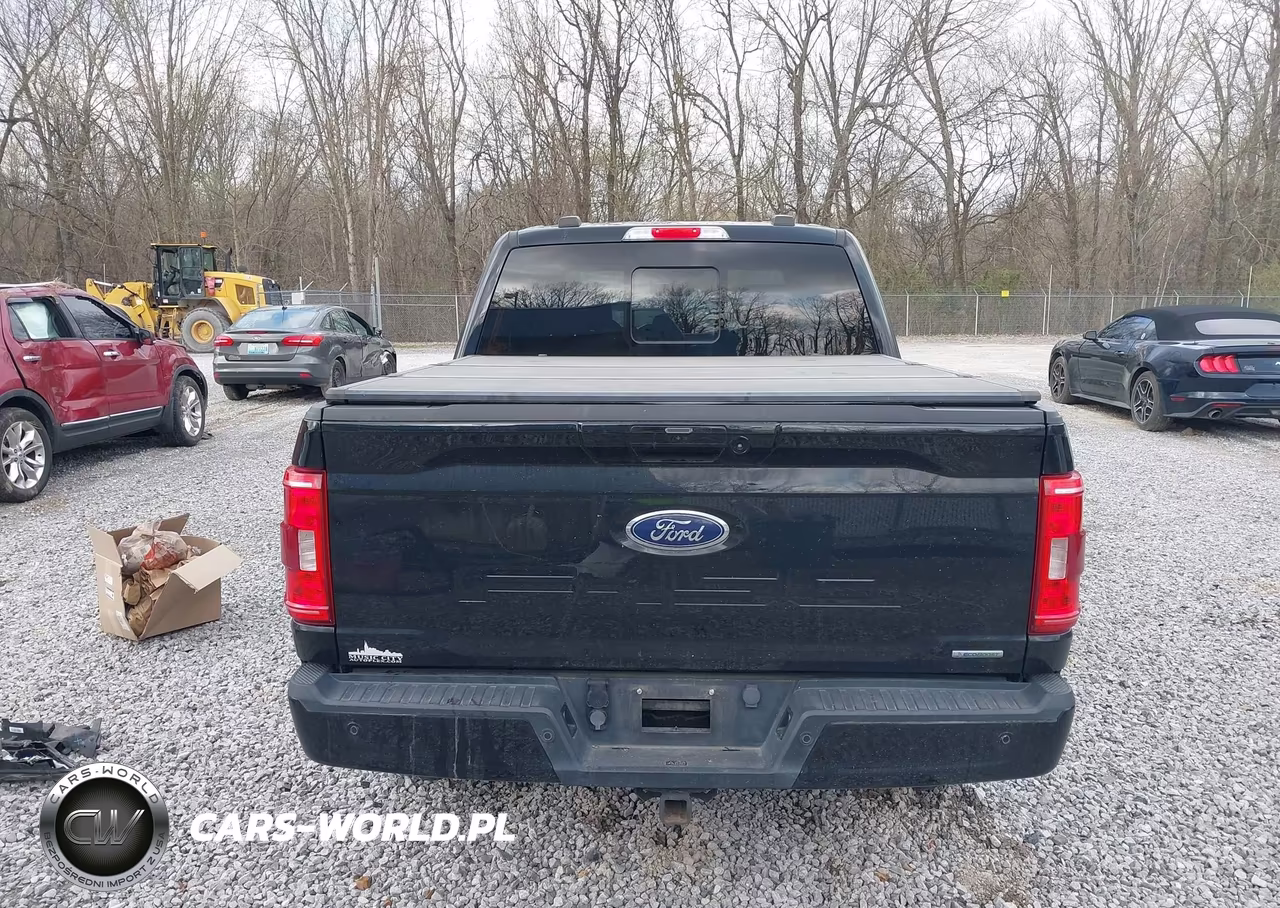 2021 Ford F-150 Xlt VIN:1FTEW1EP0MFA19005 - 17