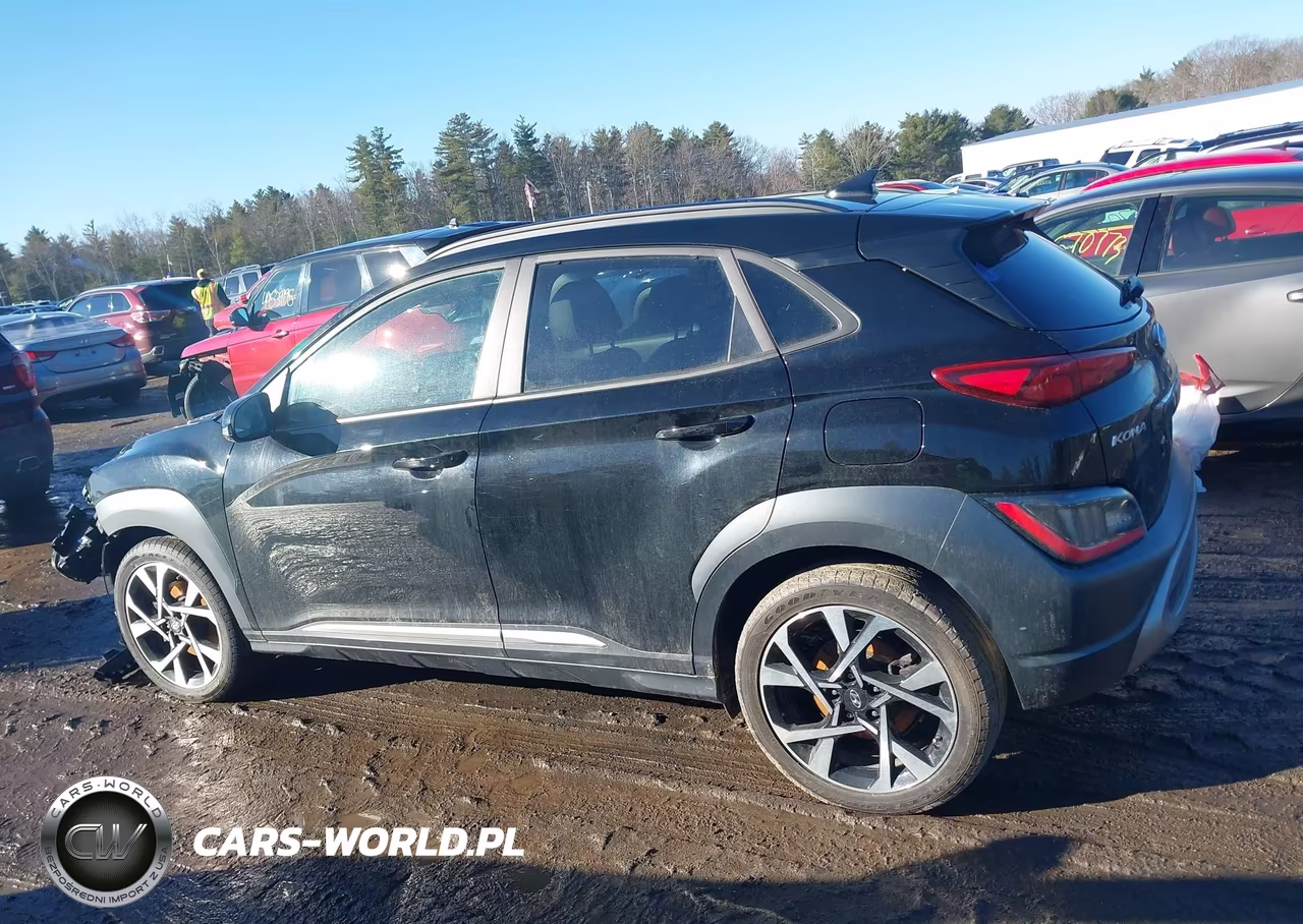 2023 Hyundai Kona Limited VIN:KM8K5CA35PU966900 - 15
