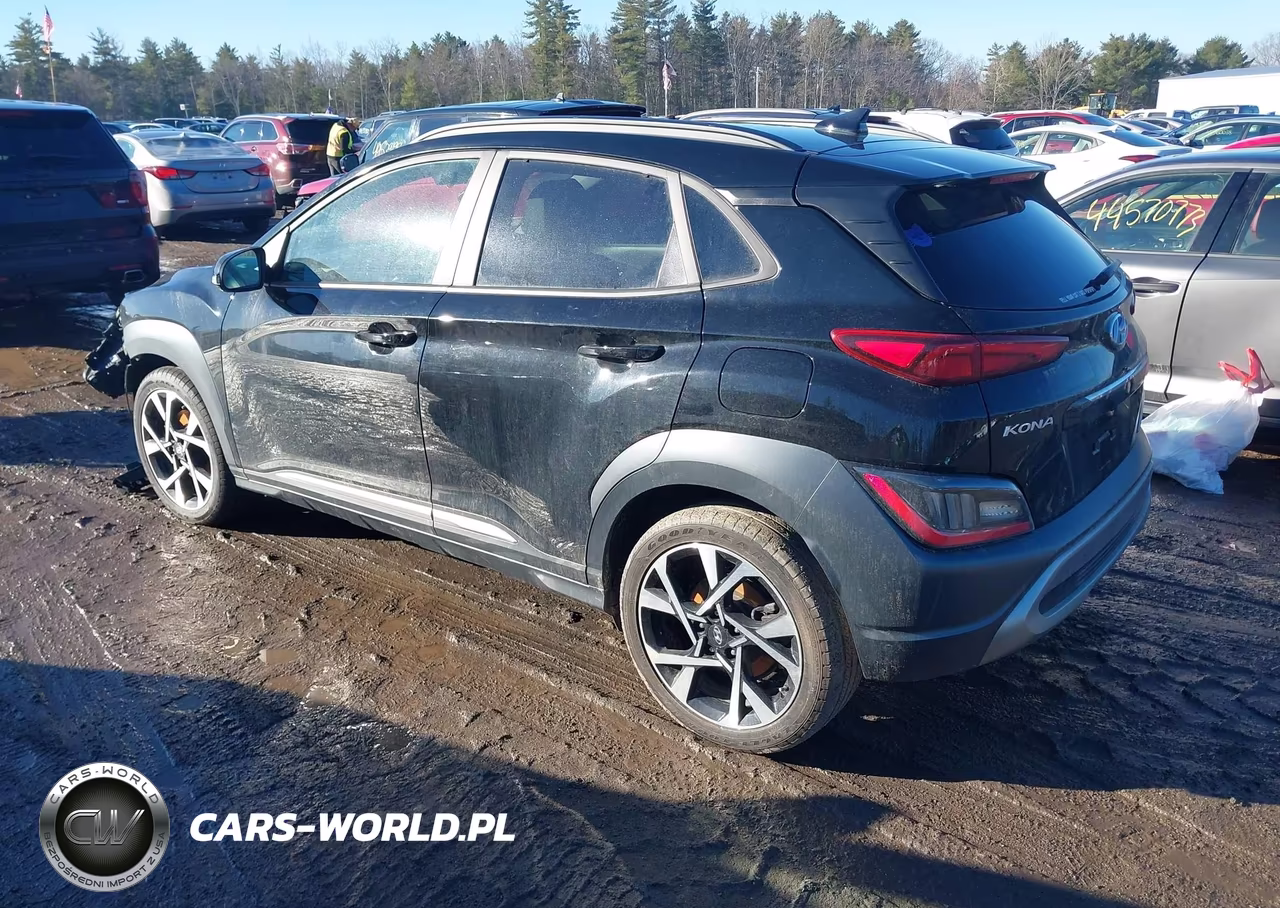 2023 Hyundai Kona Limited VIN:KM8K5CA35PU966900 - 3