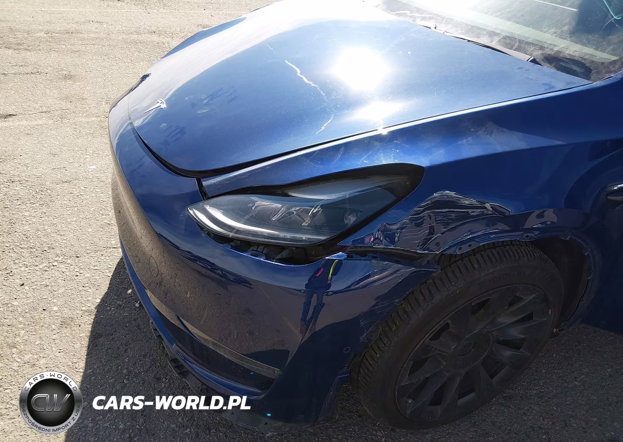 2021 Tesla Model Y Long Range Dual Motor All-Wheel Drive VIN:5YJYGDEE1MF078627 - 19