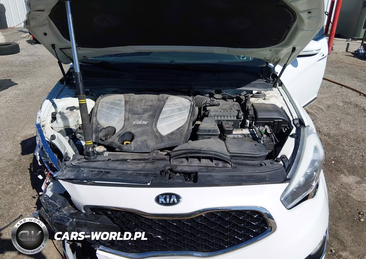 2015 Kia Cadenza Premium VIN:KNALN4D76F5184852 - 10