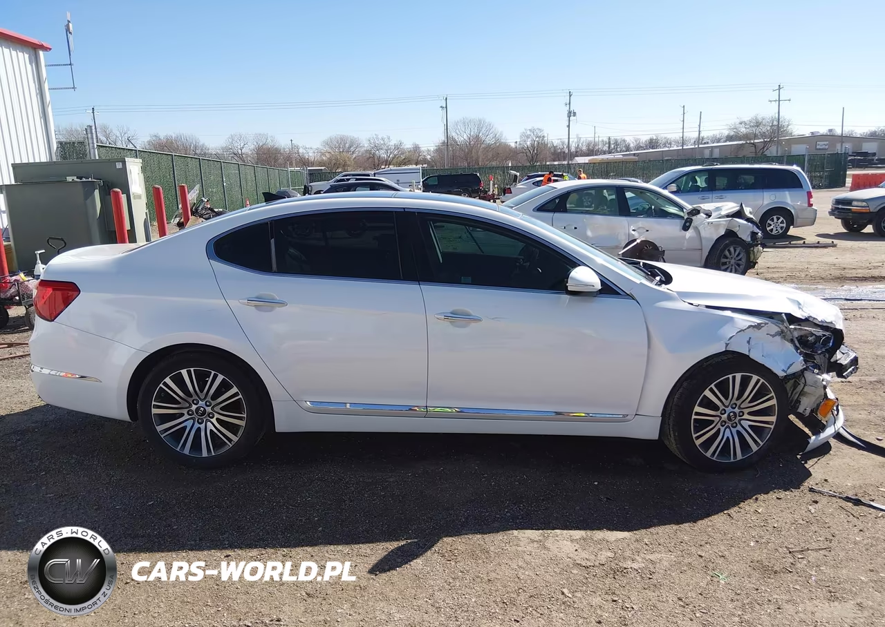 2015 Kia Cadenza Premium VIN:KNALN4D76F5184852 - 13