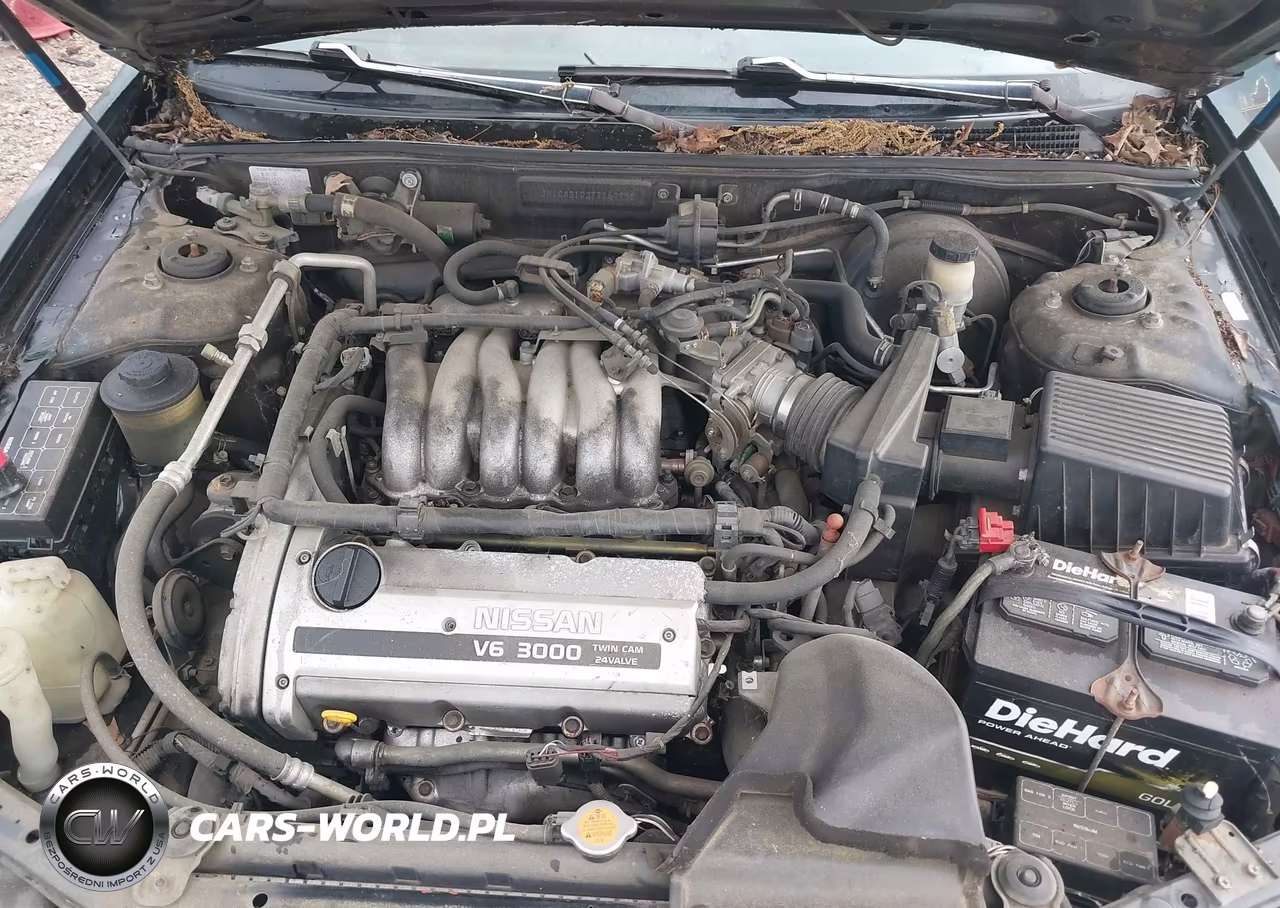 1996 Nissan Maxima Gle-Gxe-Se VIN:JN1CA21D2TT160958 - 10