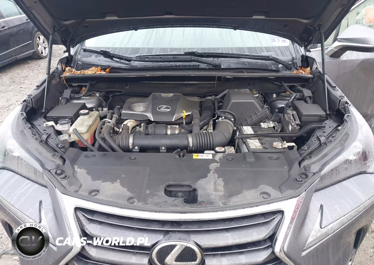 2017 Lexus Nx 200T VIN:JTJBARBZ8H2122897 - 10