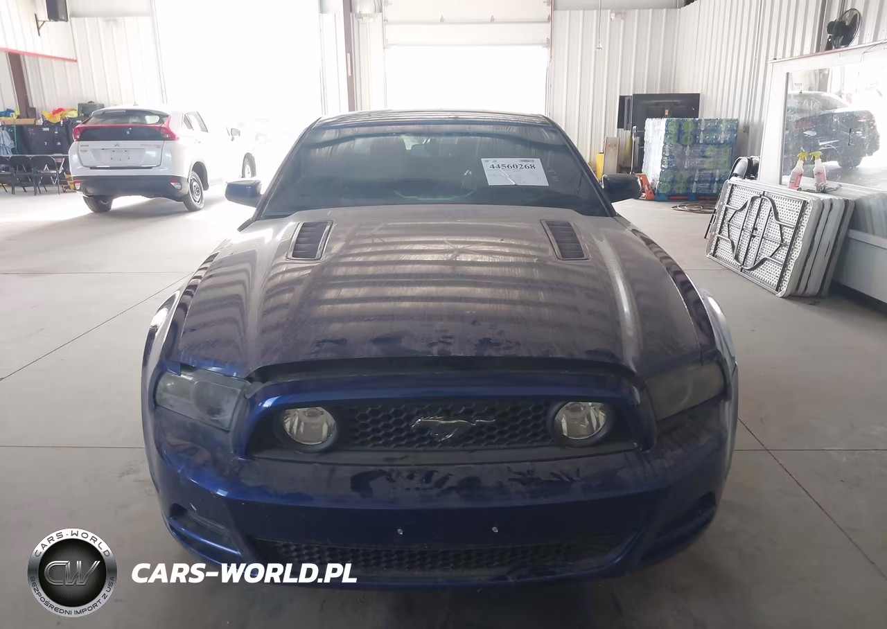 2014 Ford Mustang Gt Premium VIN:1ZVBP8CF1E5324827 - 12