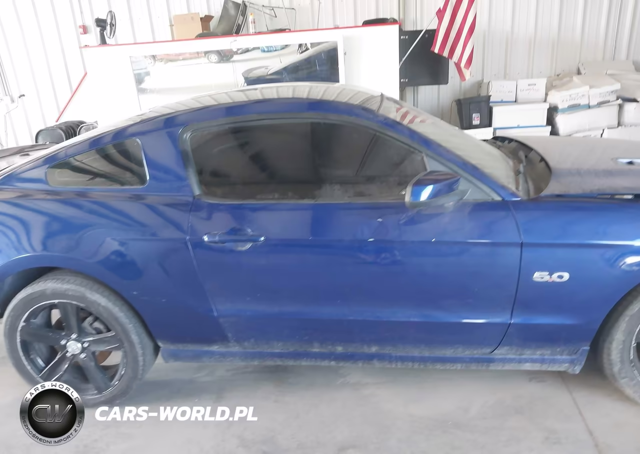 2014 Ford Mustang Gt Premium VIN:1ZVBP8CF1E5324827 - 13