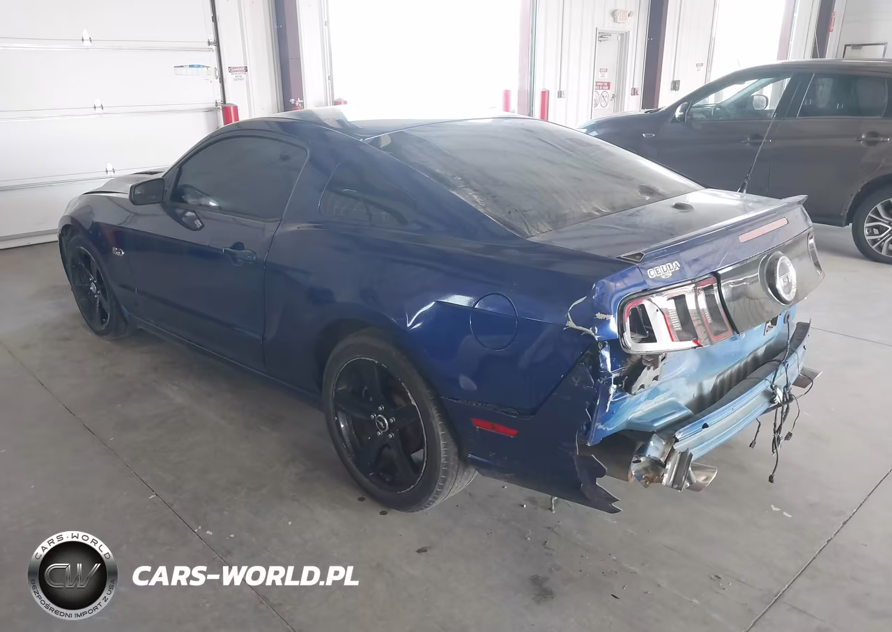 2014 Ford Mustang Gt Premium VIN:1ZVBP8CF1E5324827 - 3