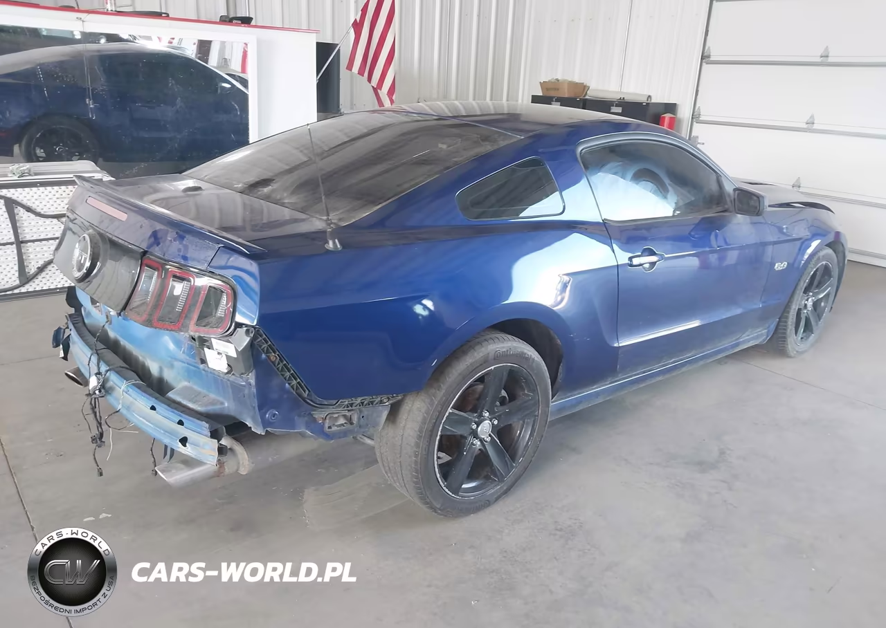 2014 Ford Mustang Gt Premium VIN:1ZVBP8CF1E5324827 - 4