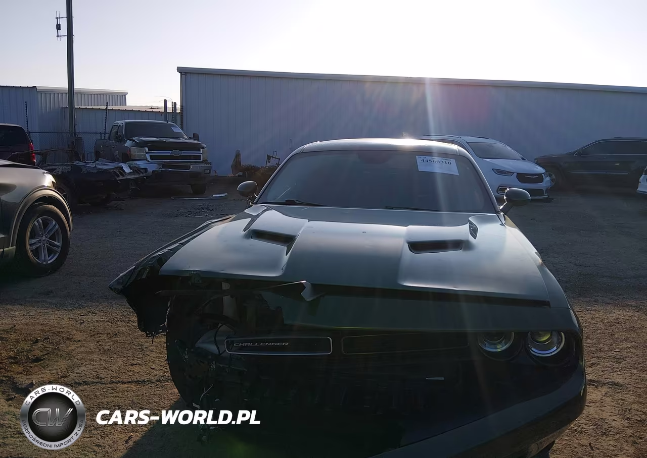 2019 Dodge Challenger Sxt VIN:2C3CDZAG8KH732008 - 12