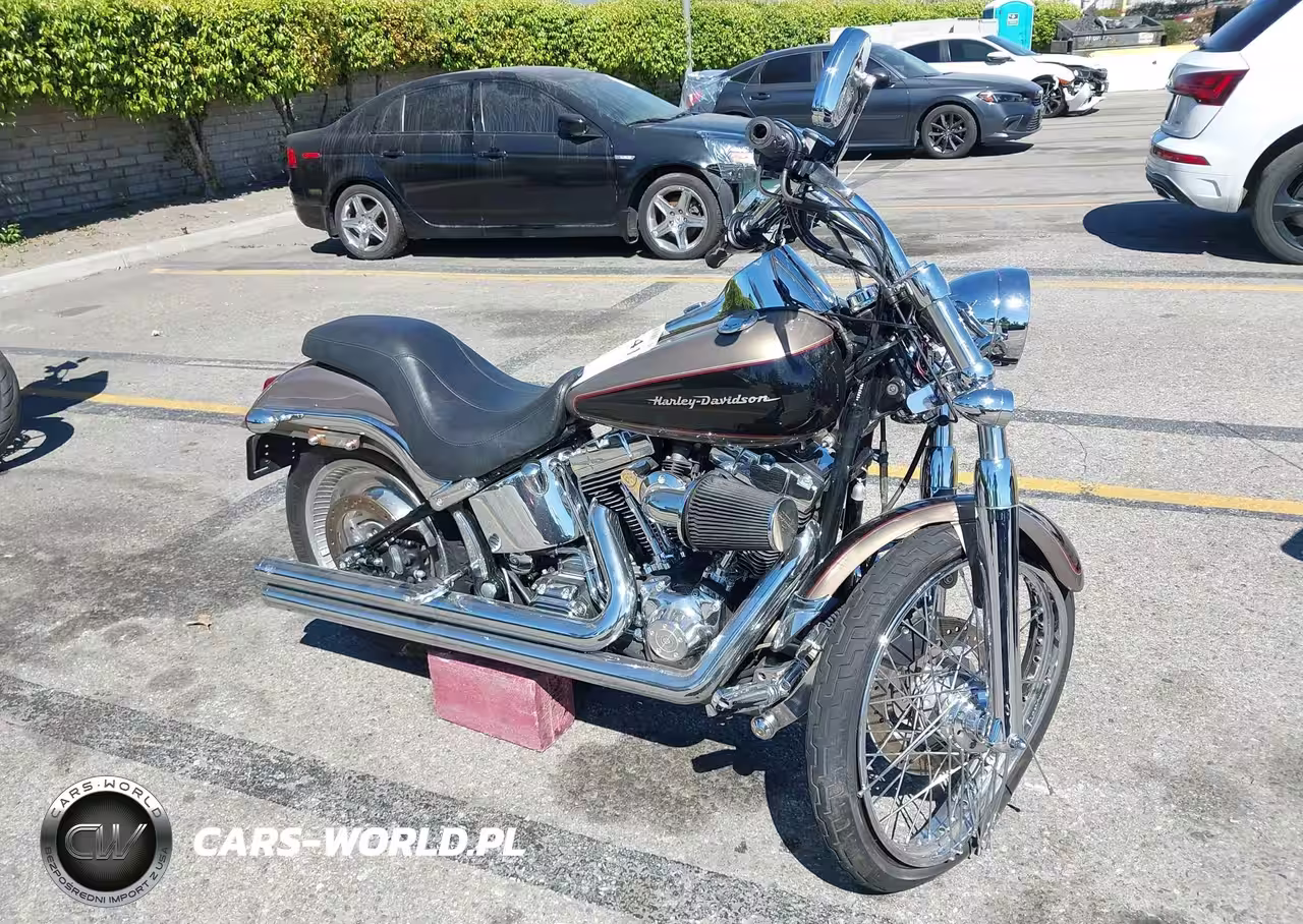 2005 Harley-Davidson Fxstdi