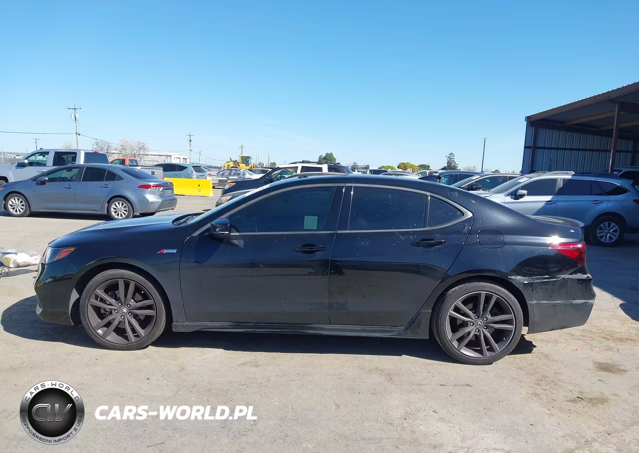 2020 Acura Tlx A-Spec-A-Spec W-Red Leather VIN:19UUB2F69LA004793 - 14