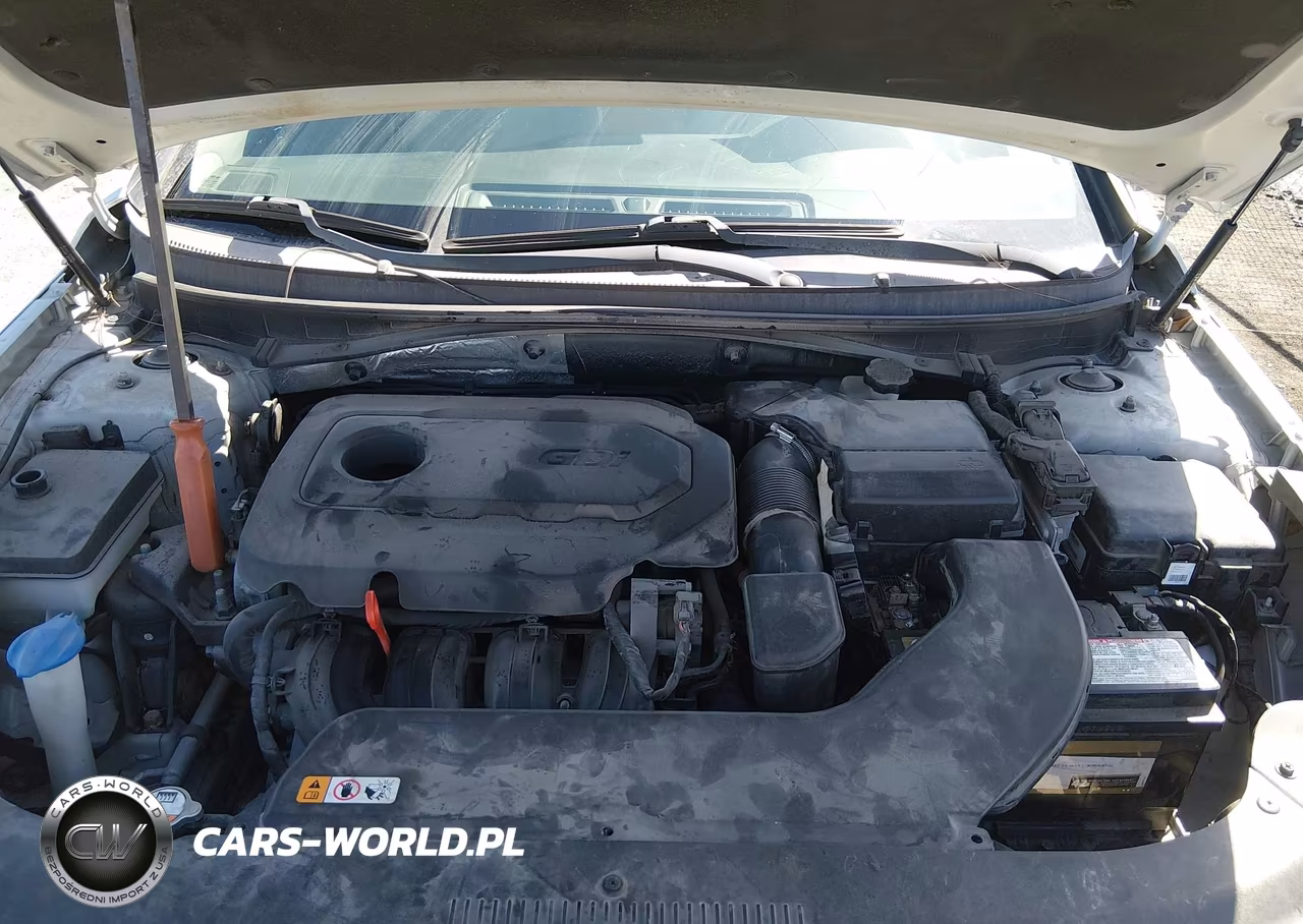 2015 Hyundai Sonata Sport VIN:5NPE34AF8FH029975 - 10