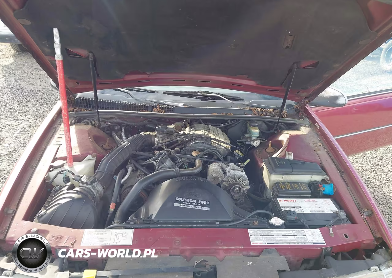 1991 Ford Thunderbird VIN:1FAPP6049MH127858 - 10