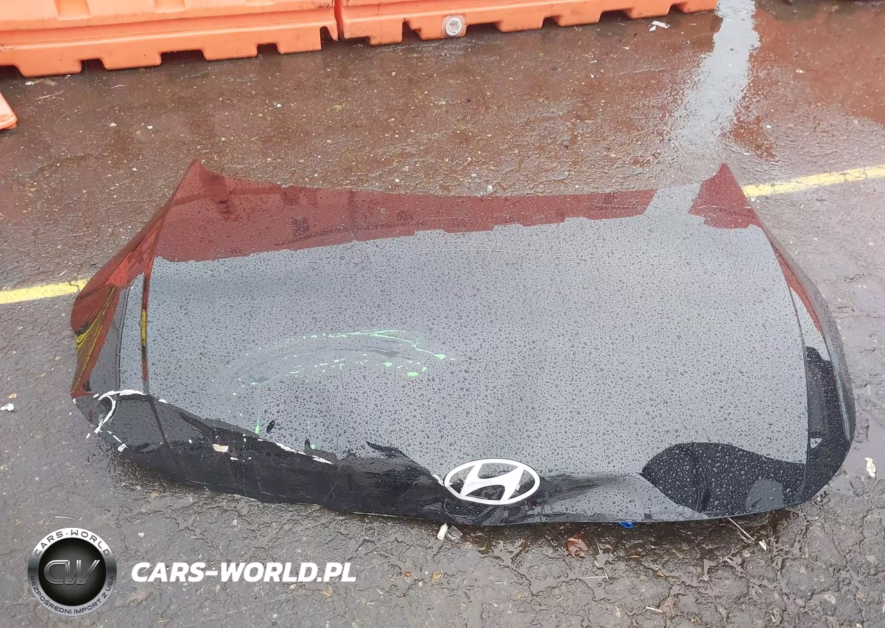 2025 Hyundai Ioniq 5 Se Standard Range VIN:7YAKM4DB6SY015079 - 22