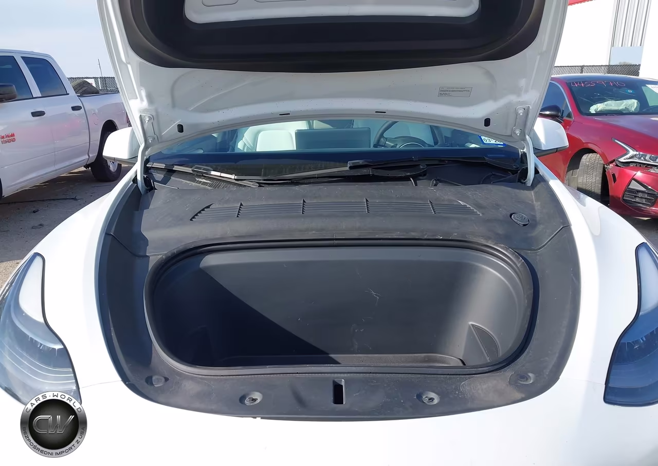 2024 Tesla Model Y Long Range Dual Motor All-Wheel Drive VIN:7SAYGDEE9RA267064 - 10