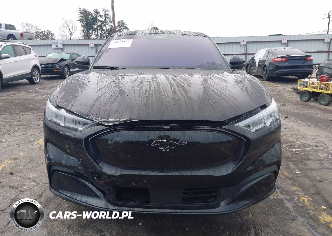 2023 Ford Mustang Mach-E Premium VIN:3FMTK3RM4PMA30264 - 12