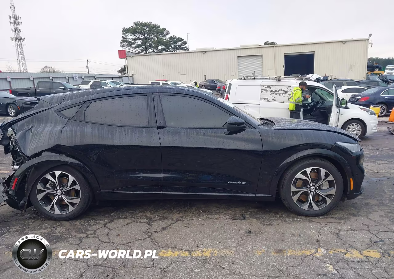 2023 Ford Mustang Mach-E Premium VIN:3FMTK3RM4PMA30264 - 13