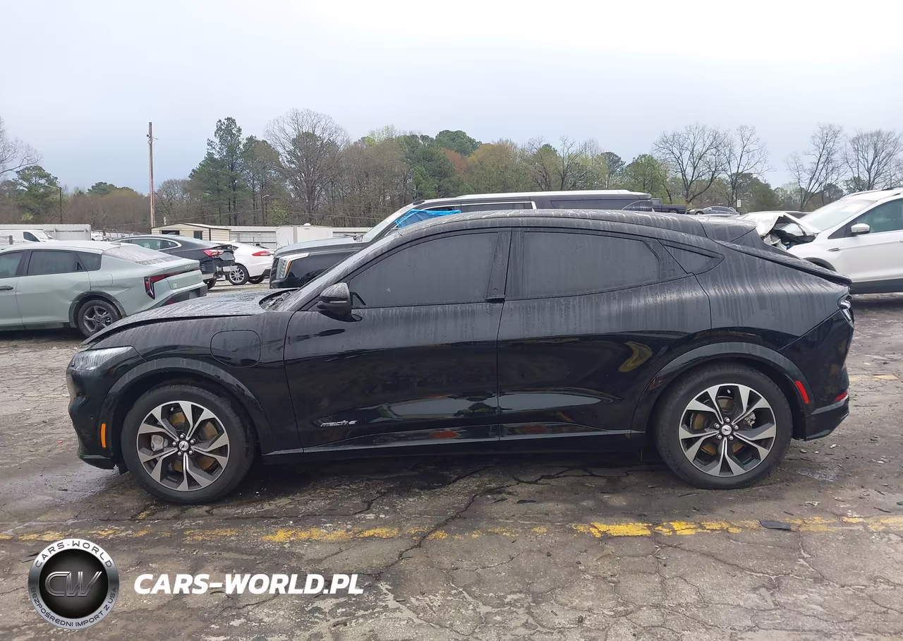 2023 Ford Mustang Mach-E Premium VIN:3FMTK3RM4PMA30264 - 14