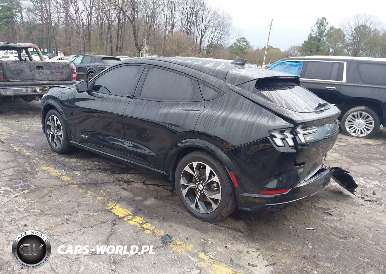 2023 Ford Mustang Mach-E Premium VIN:3FMTK3RM4PMA30264 - 3