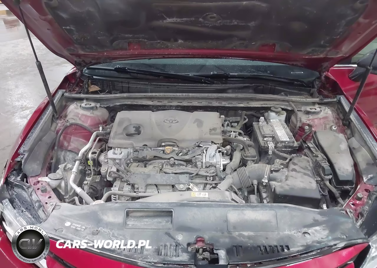 2019 Toyota Camry Le VIN:4T1B11HK5KU692328 - 10