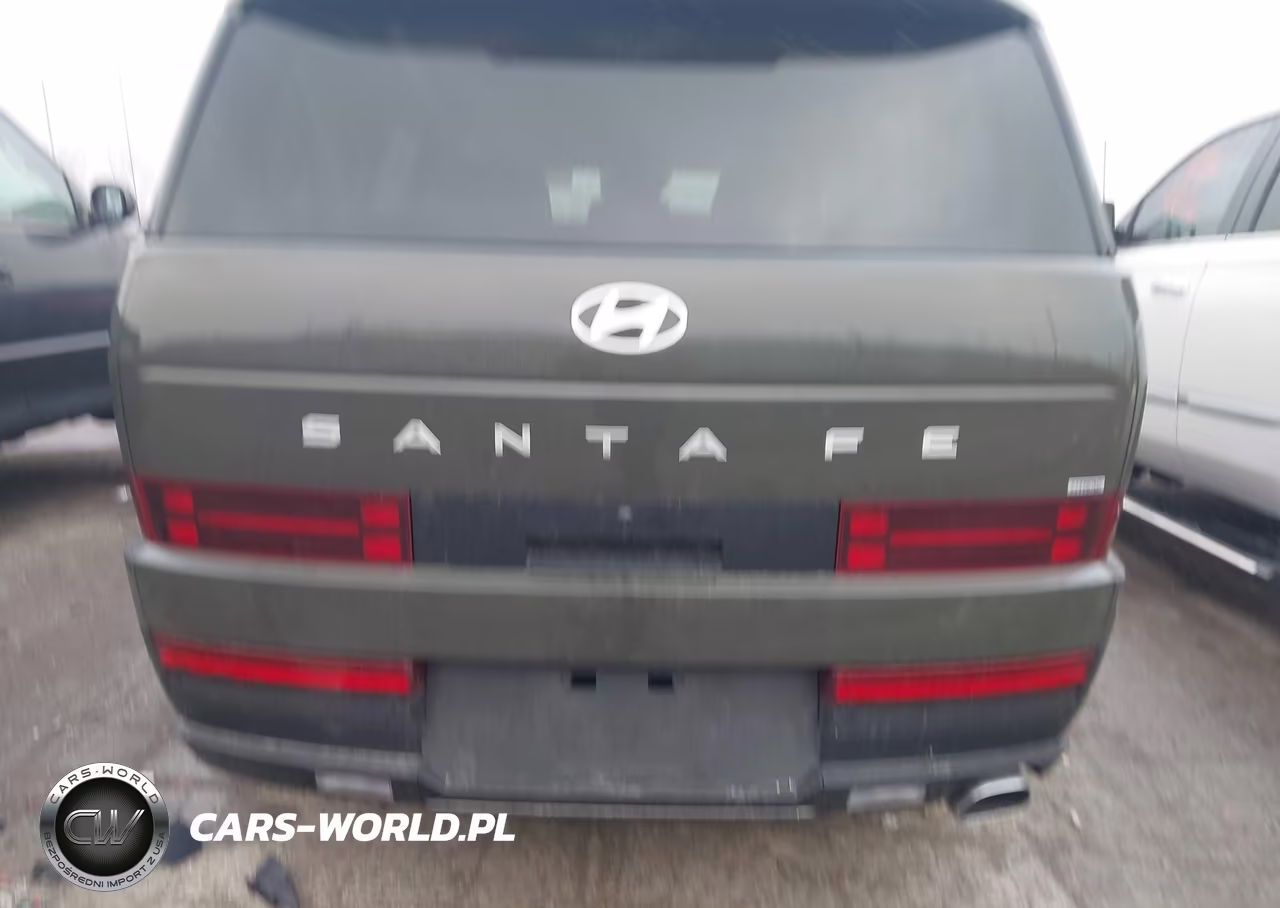 2025 Hyundai Santa Fe Sel VIN:5NMP2DGL4SH104235 - 17