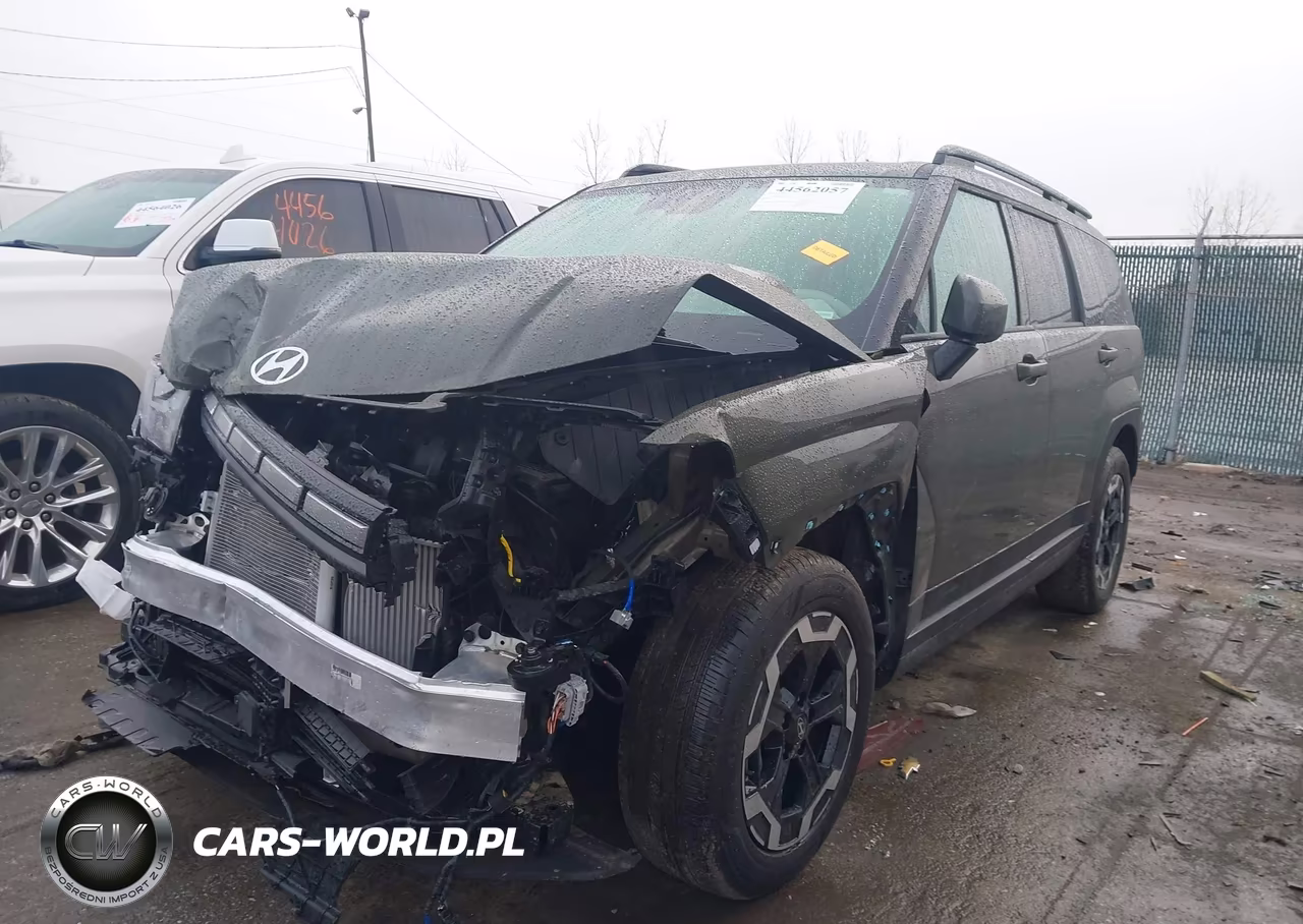 2025 Hyundai Santa Fe Sel VIN:5NMP2DGL4SH104235 - 2