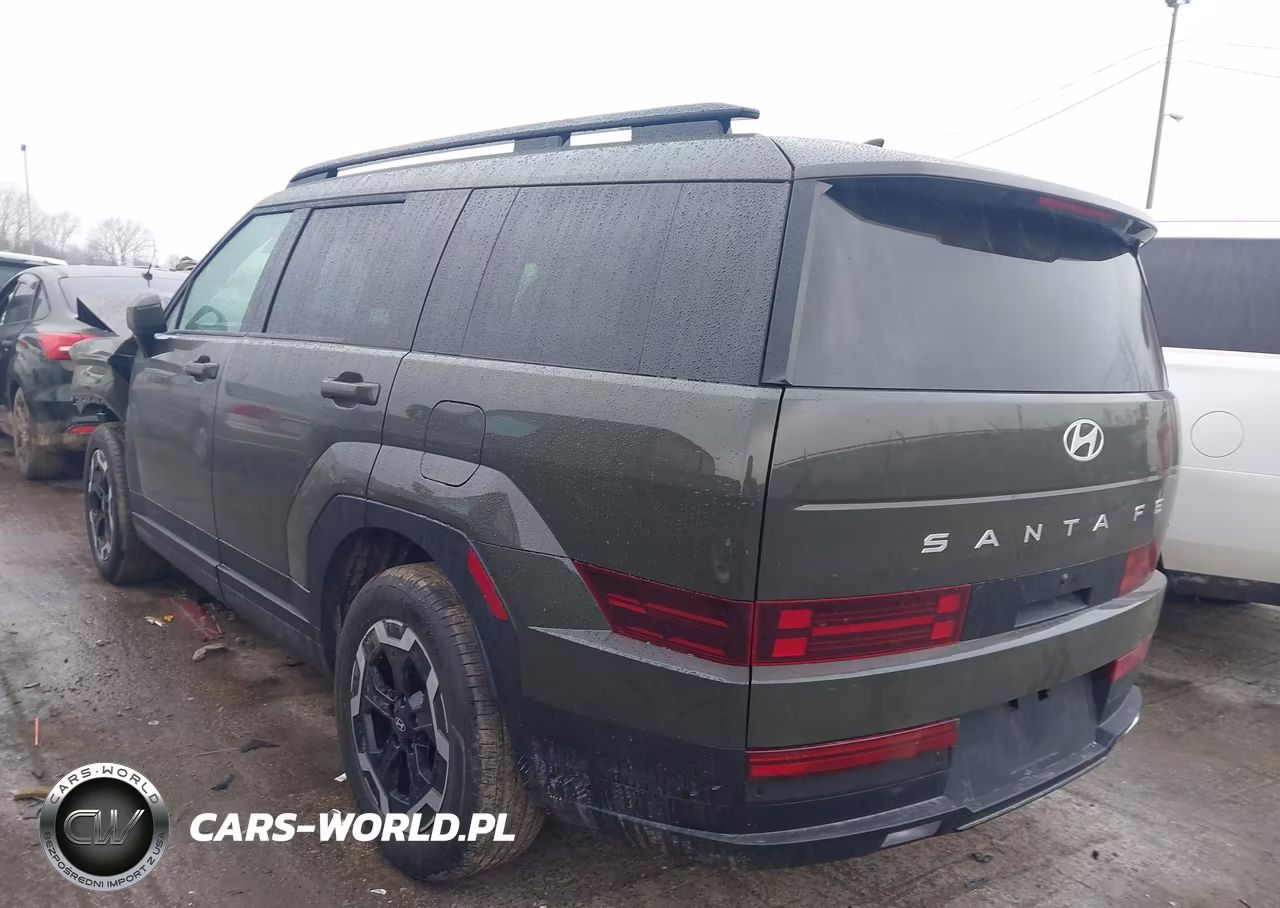 2025 Hyundai Santa Fe Sel VIN:5NMP2DGL4SH104235 - 3