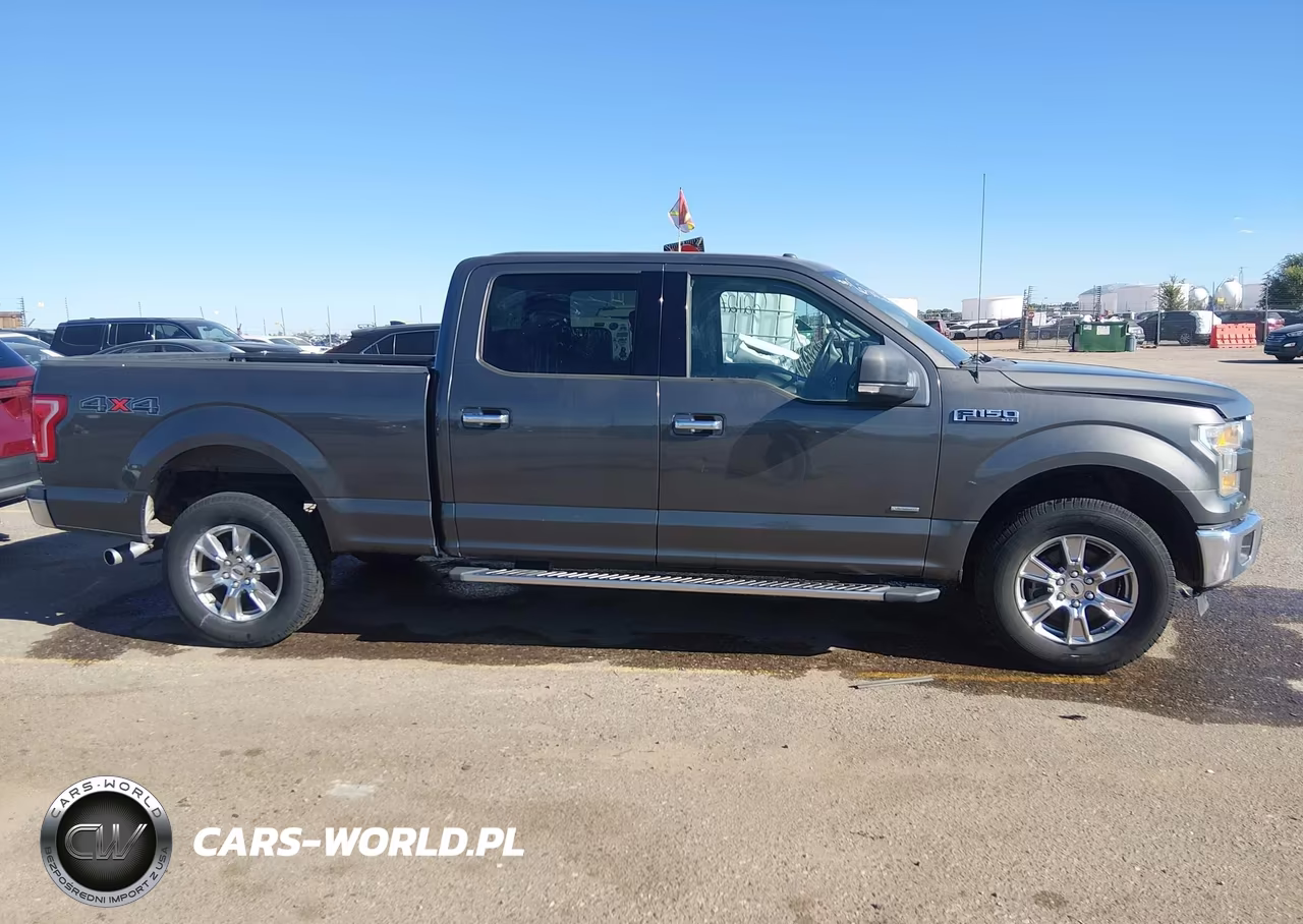 2015 Ford F-150 Xlt VIN:1FTFW1EG9FKD59218 - 13