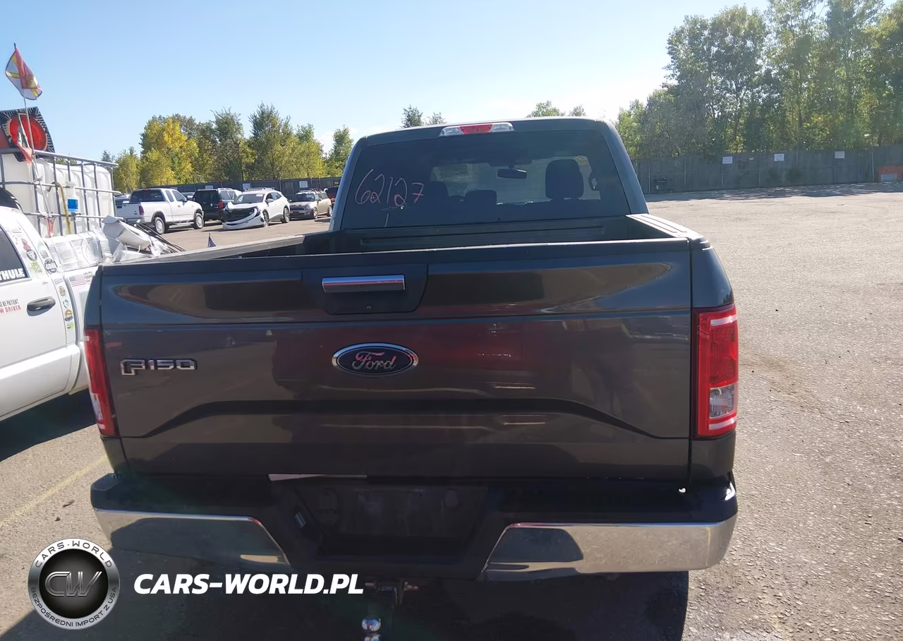2015 Ford F-150 Xlt VIN:1FTFW1EG9FKD59218 - 16