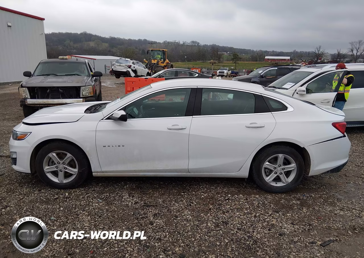 2023 Chevrolet Malibu Fwd 1Fl VIN:1G1ZC5ST1PF153523 - 19
