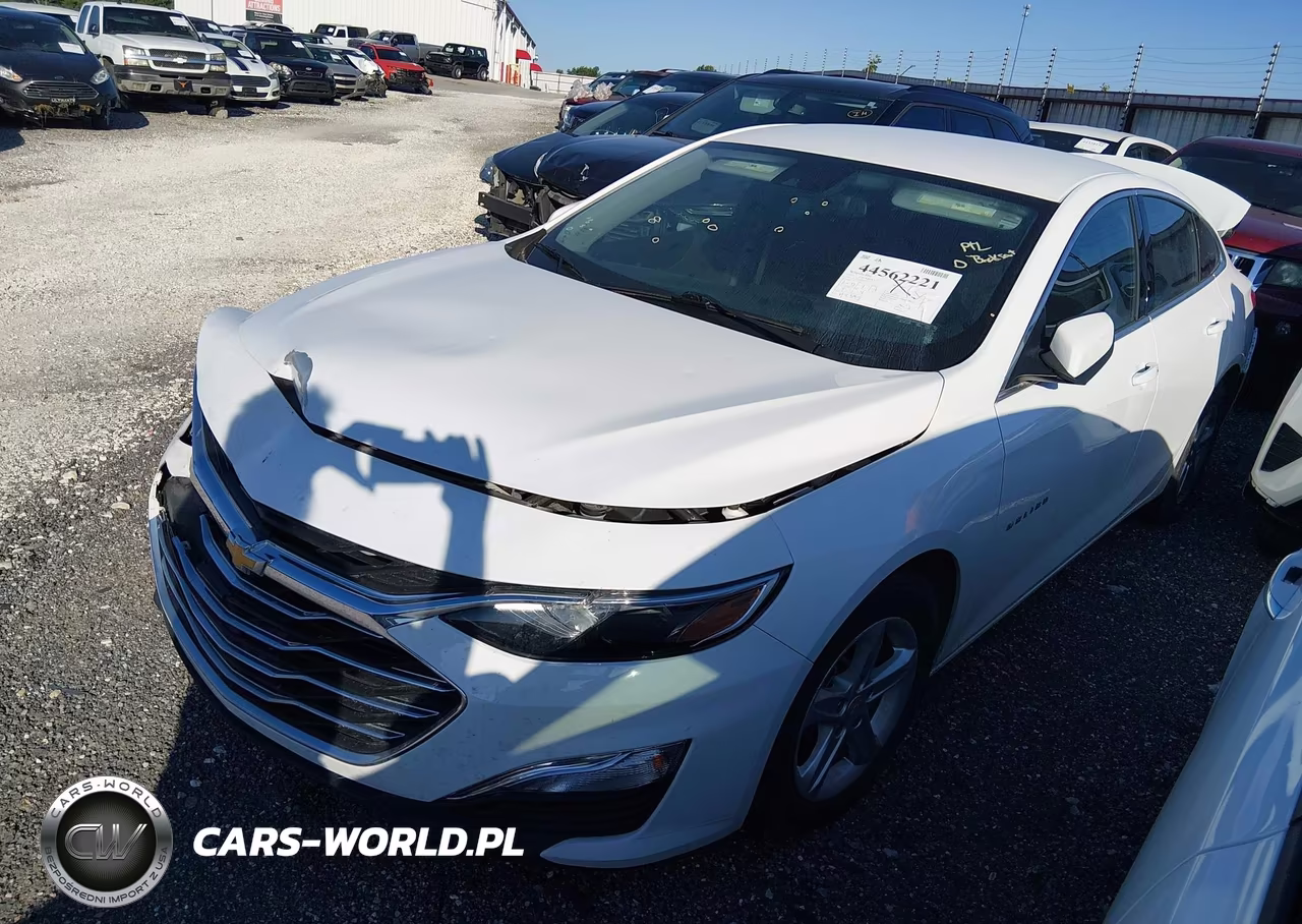 2023 Chevrolet Malibu Fwd 1Fl VIN:1G1ZC5ST1PF153523 - 2