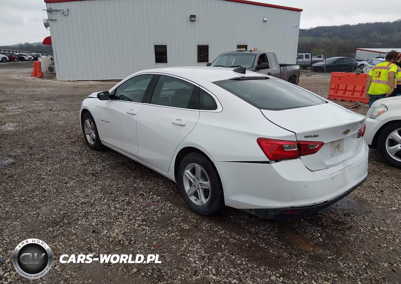 2023 Chevrolet Malibu Fwd 1Fl VIN:1G1ZC5ST1PF153523 - 3
